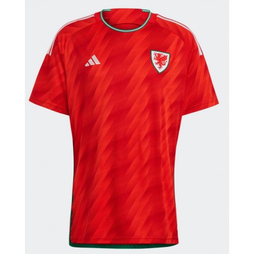Pánský Fotbalový dres Wales MS 2022 Domácí Krátký Rukáv